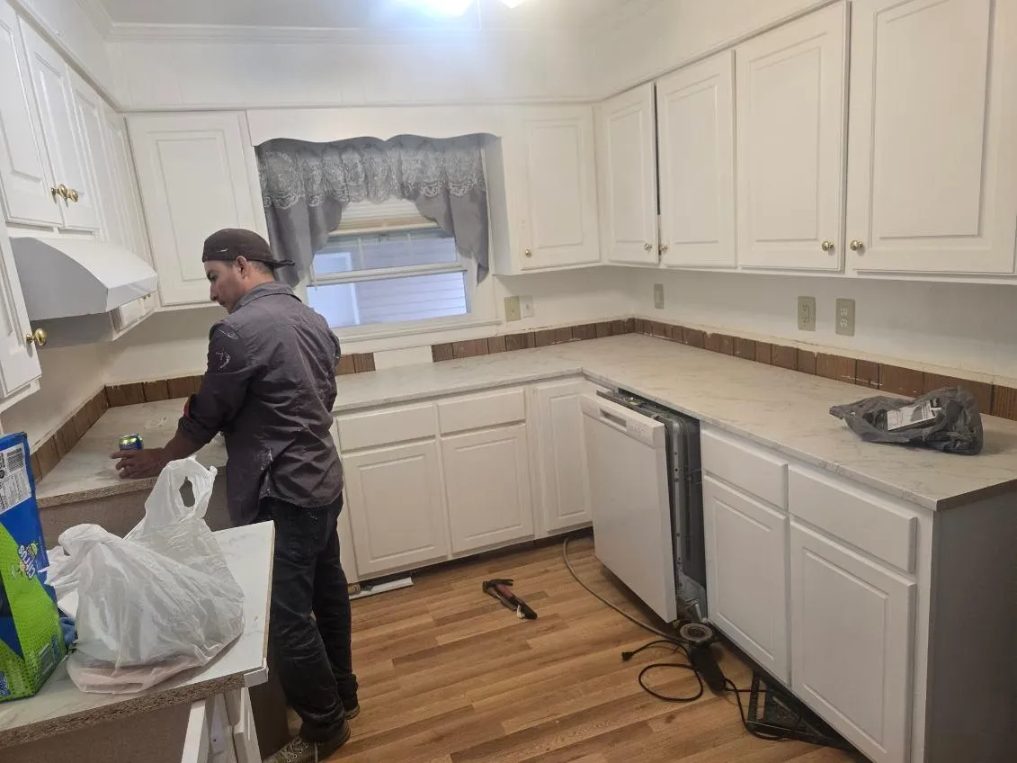 Gallery image 341