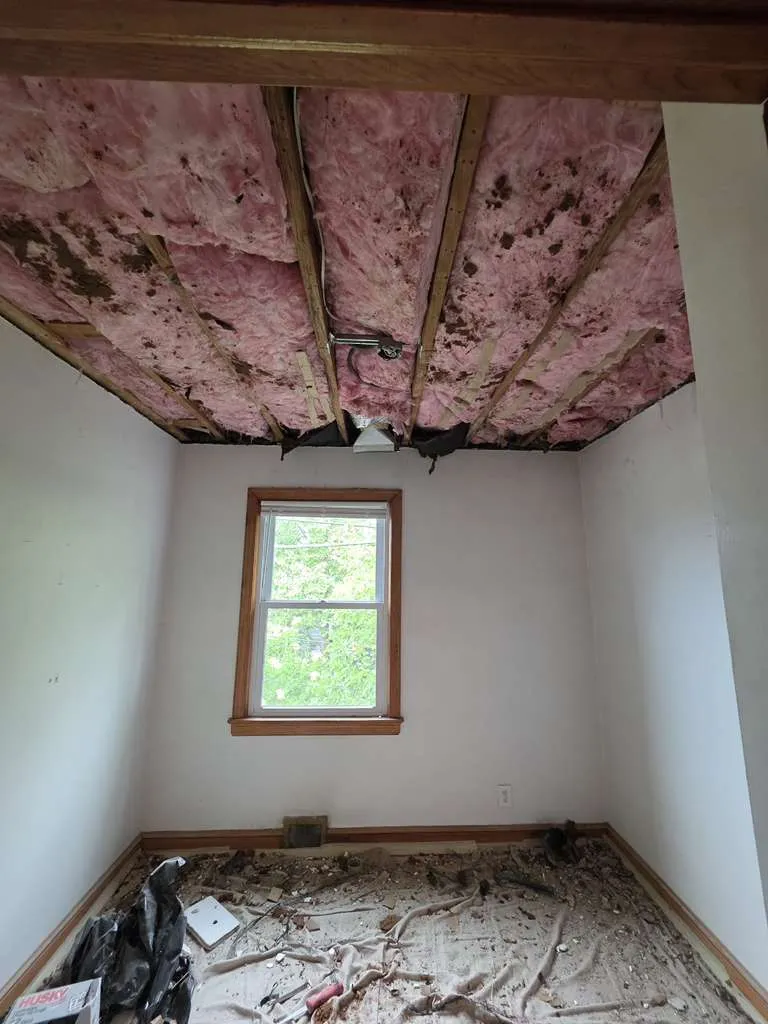 Gallery image 72