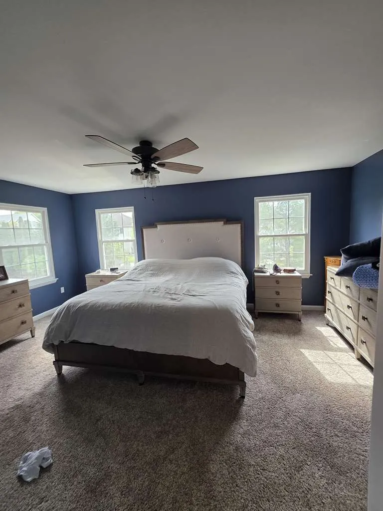 Gallery image 36