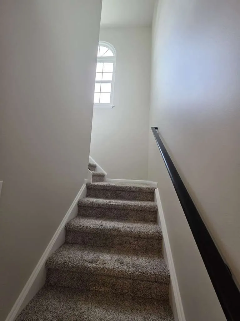 Gallery image 38