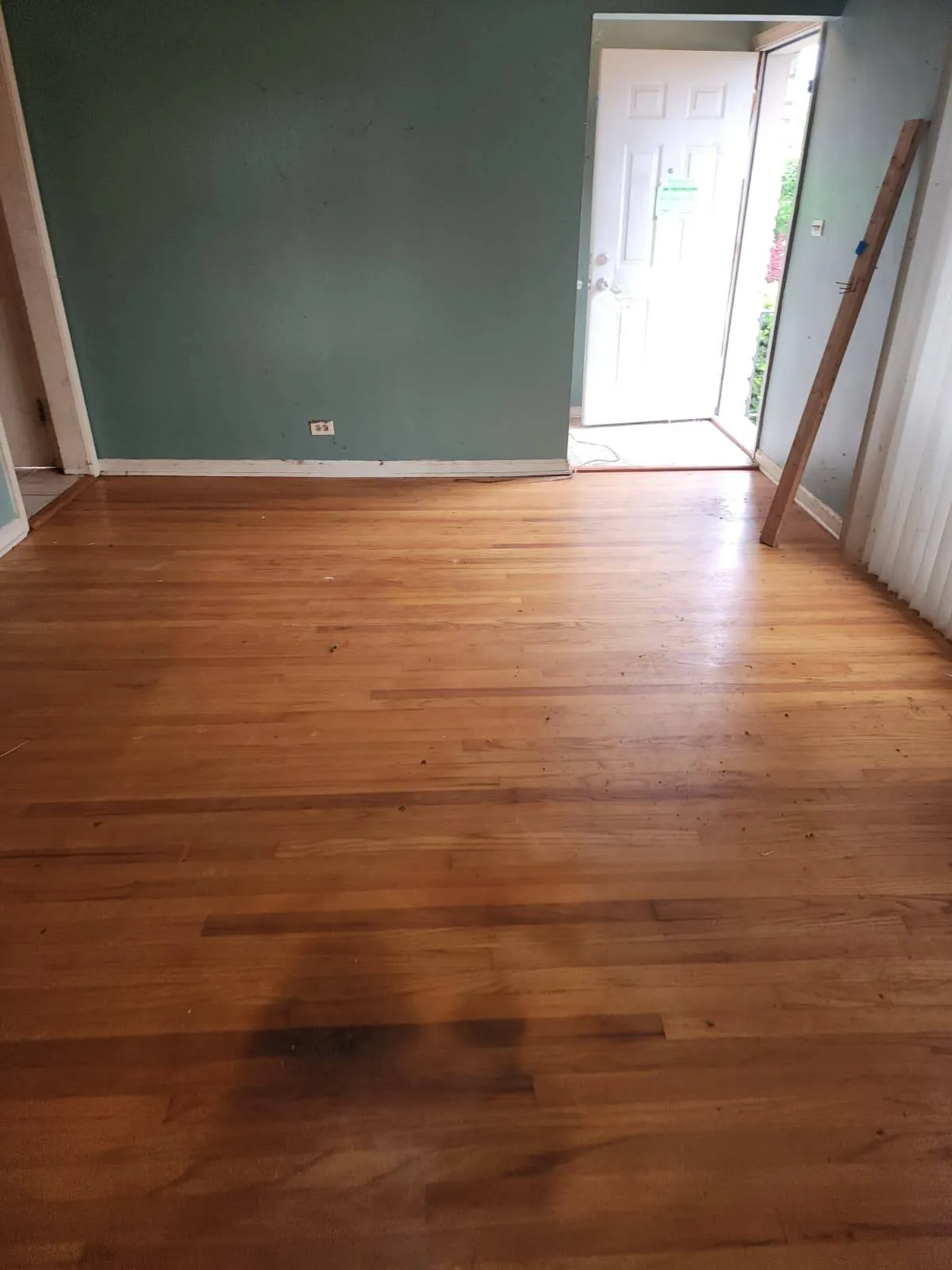 Gallery image 69