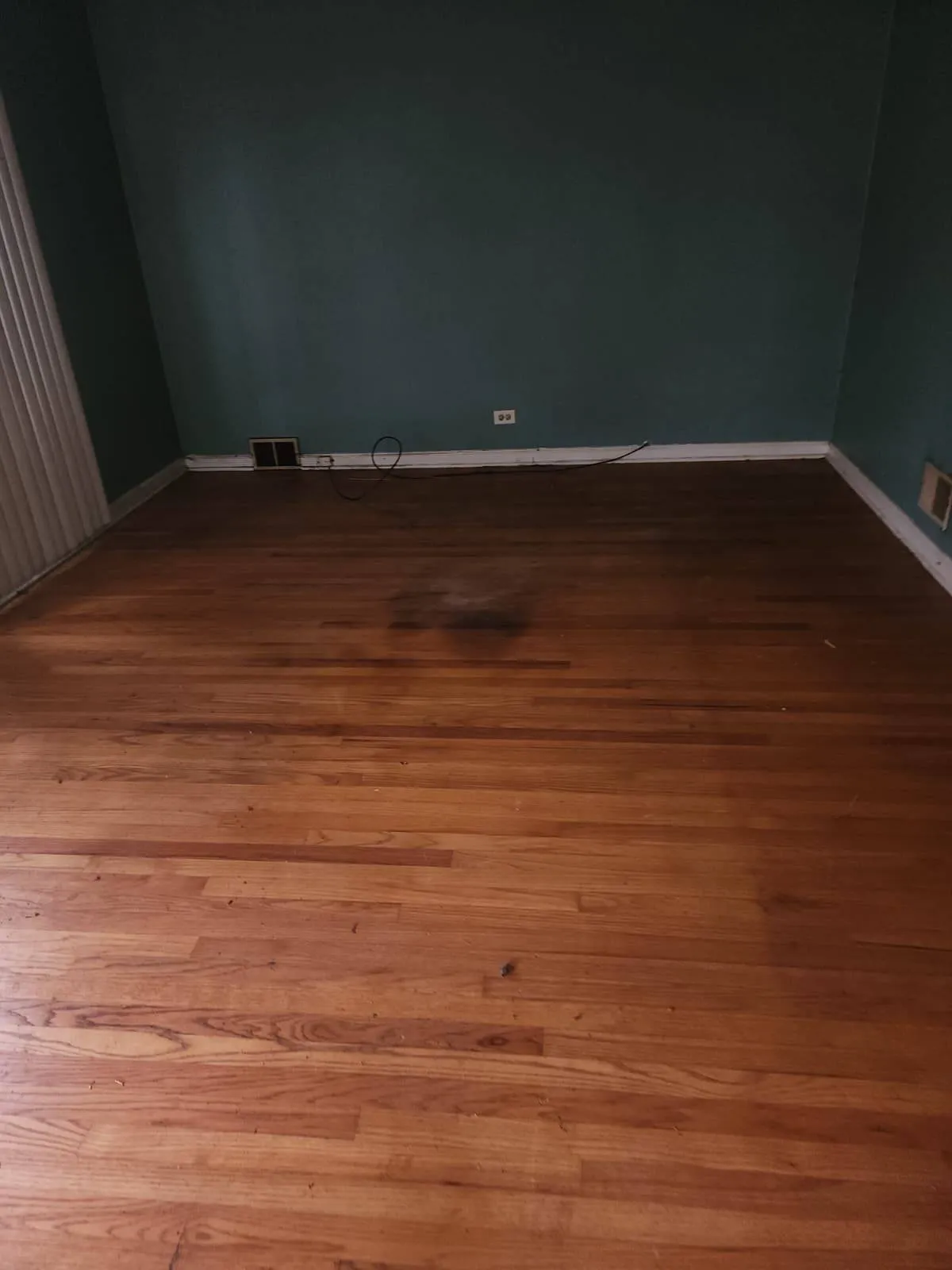 Gallery image 67