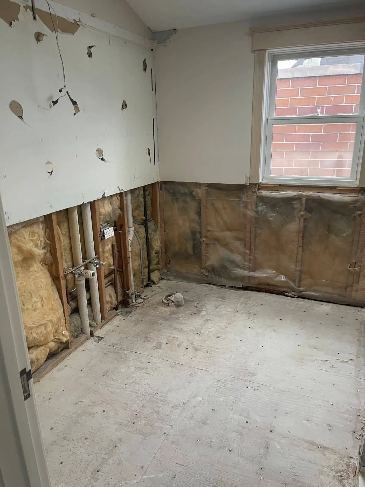 Gallery image 13