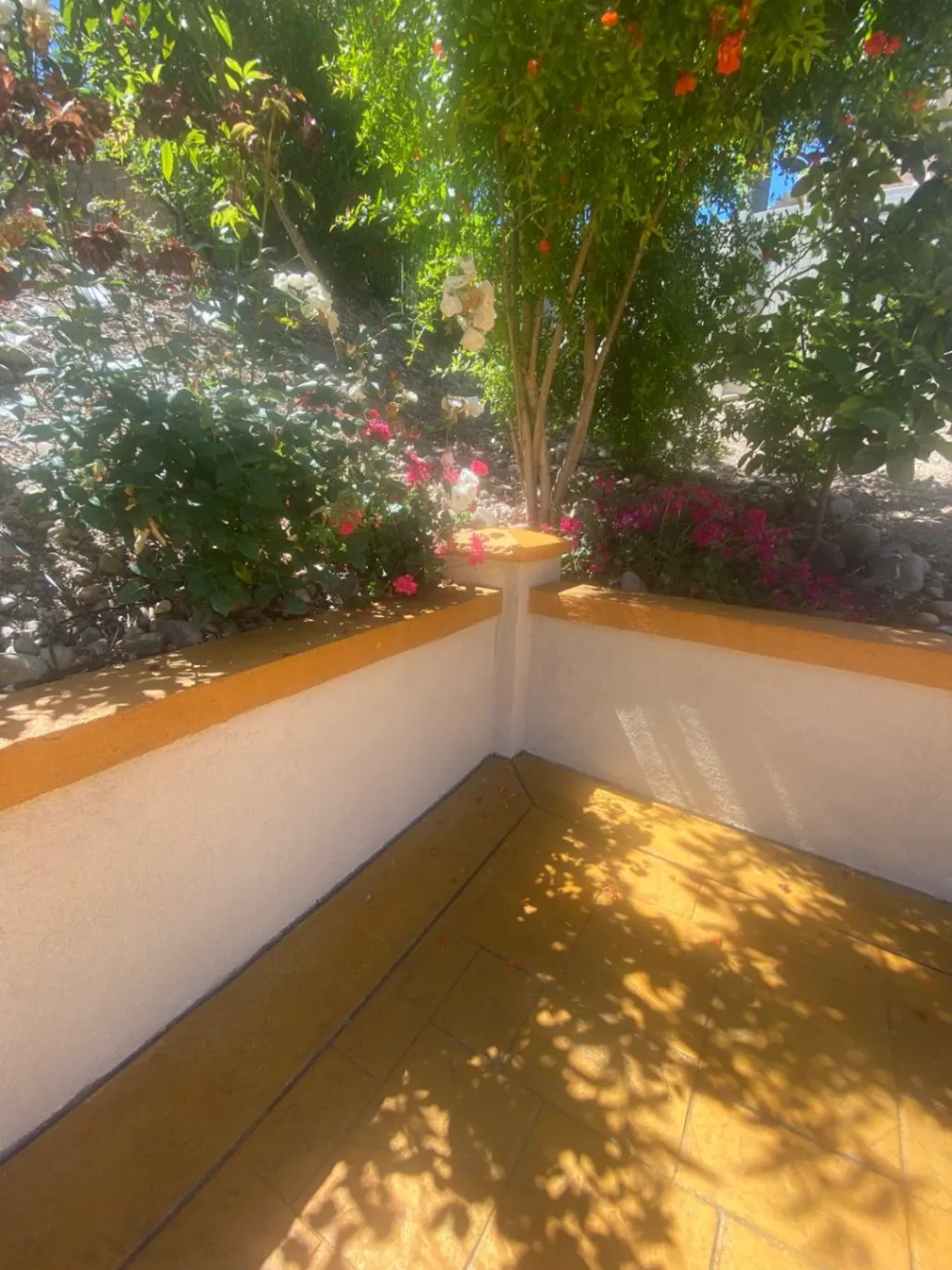 Gallery image 6