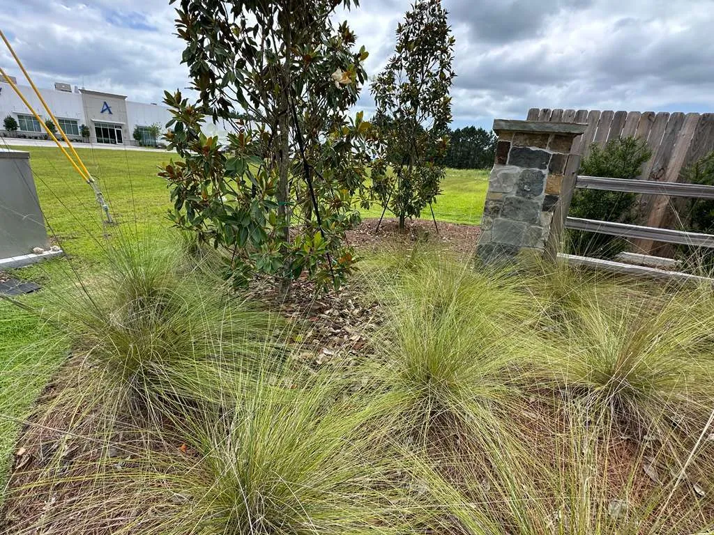 Gallery image 9