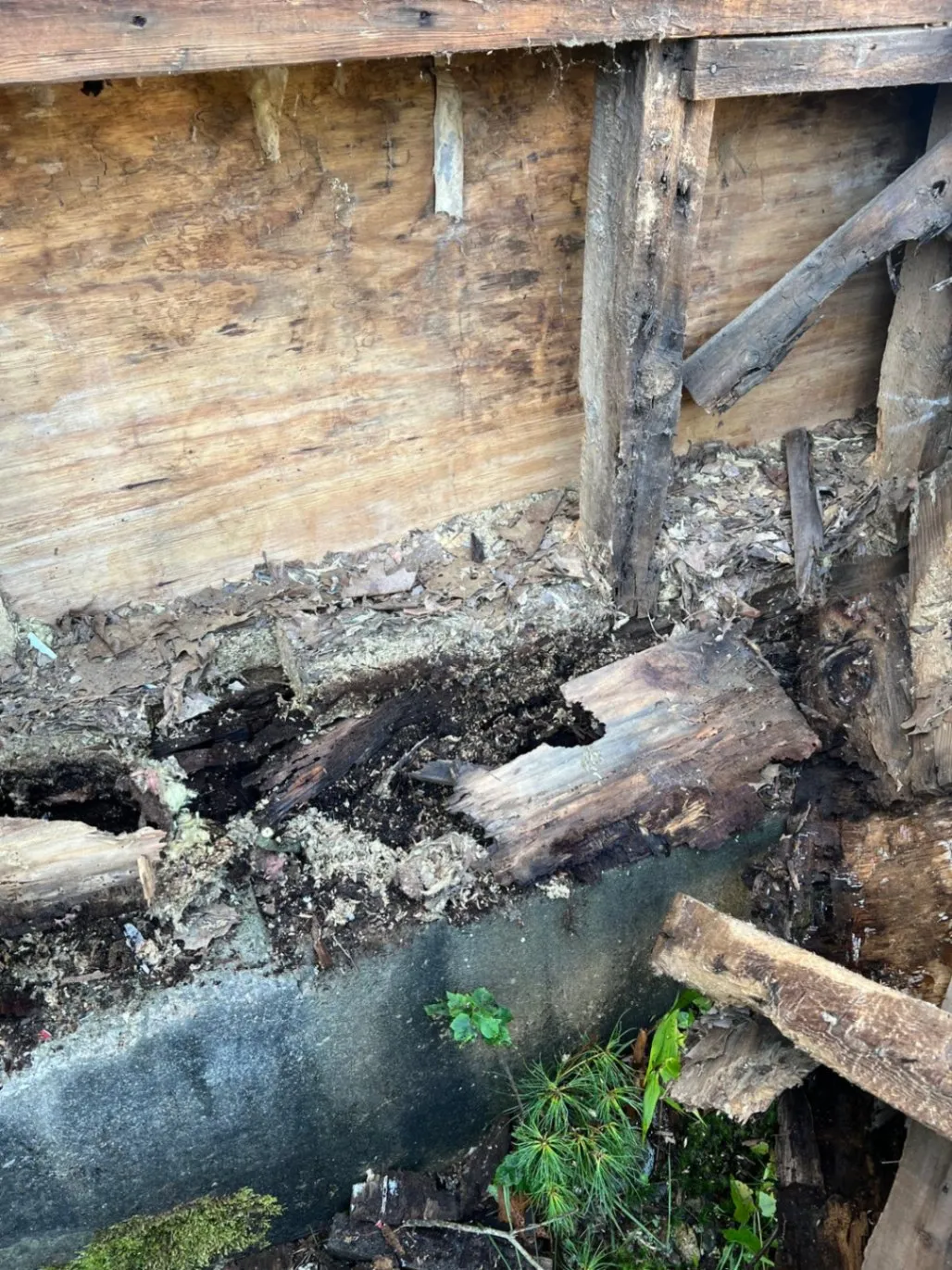Gallery image 9