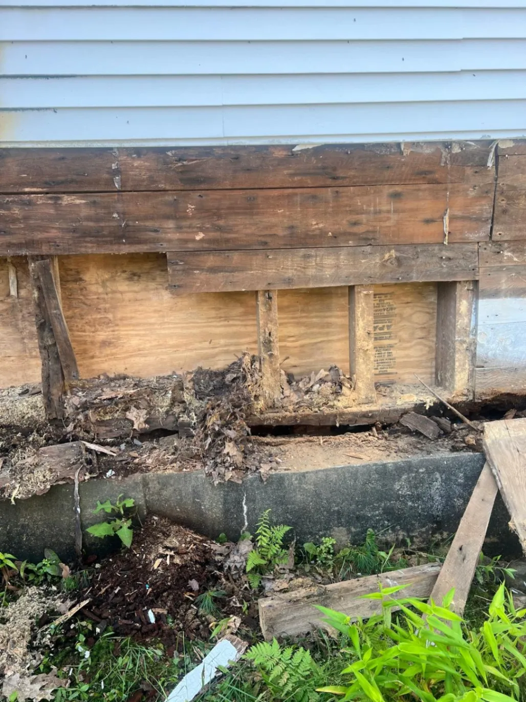 Gallery image 13