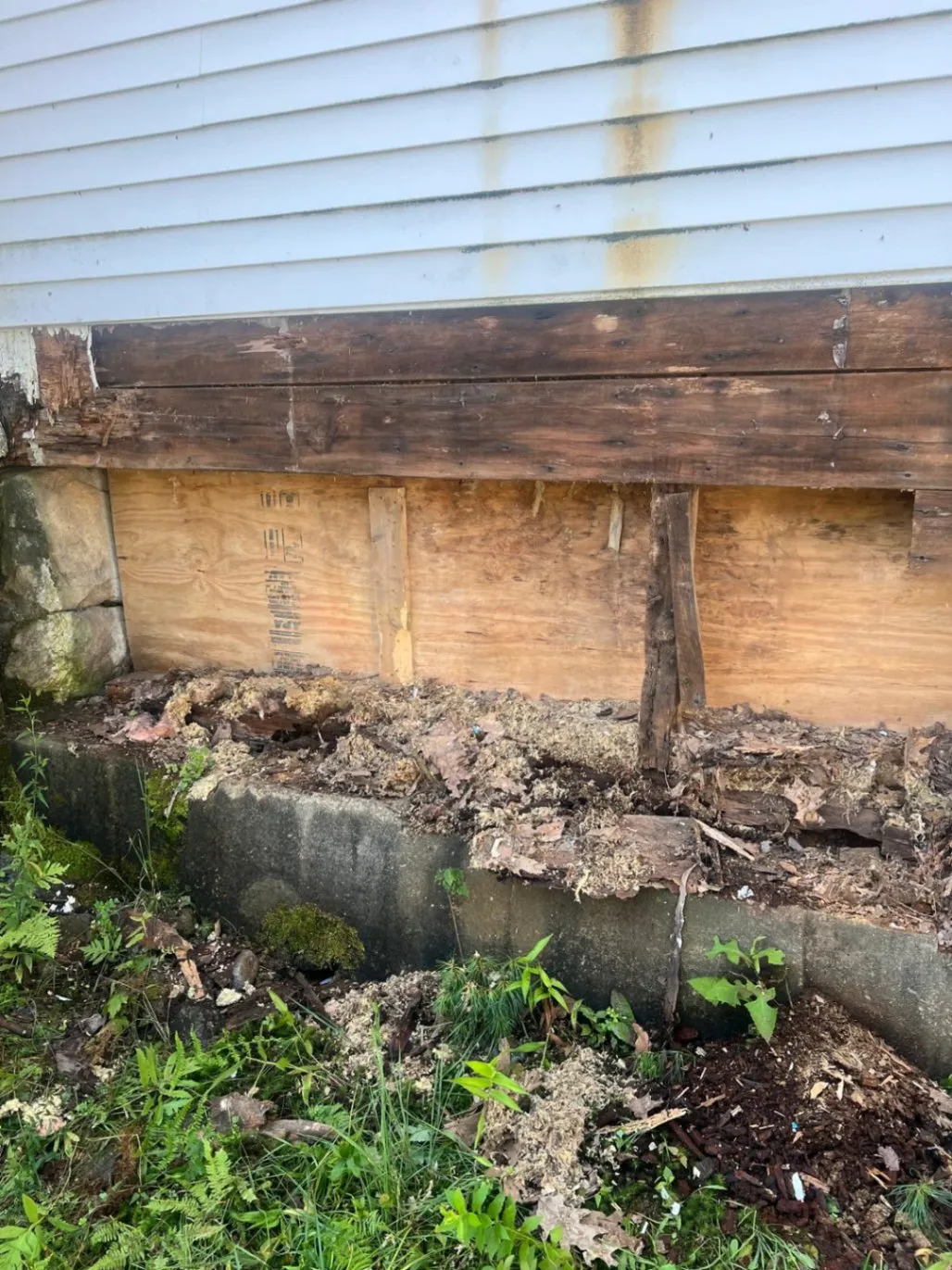 Gallery image 14