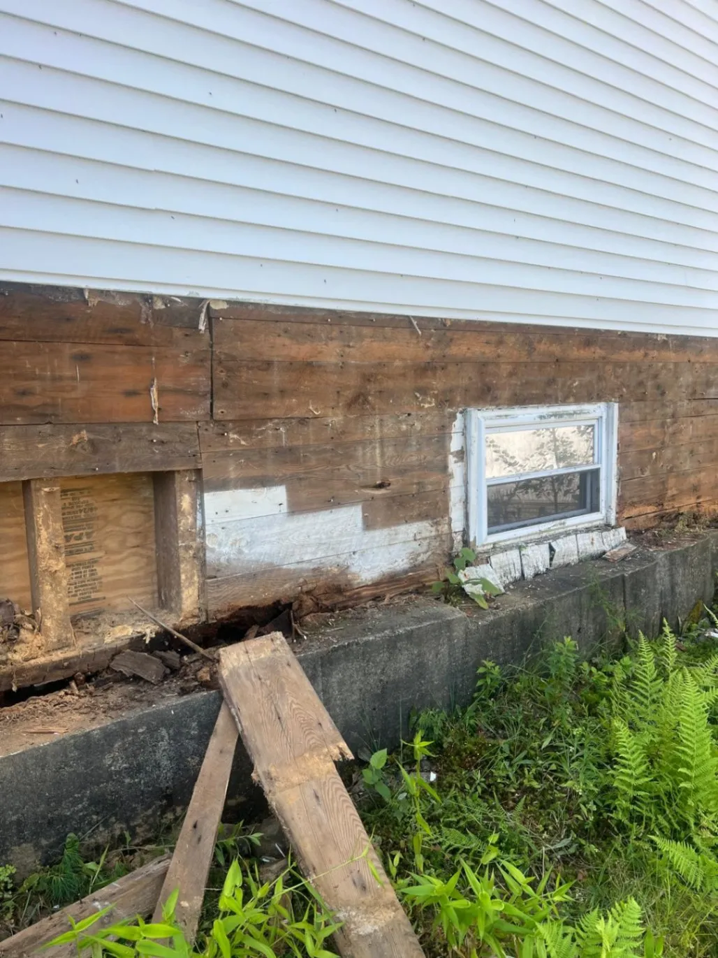 Gallery image 15