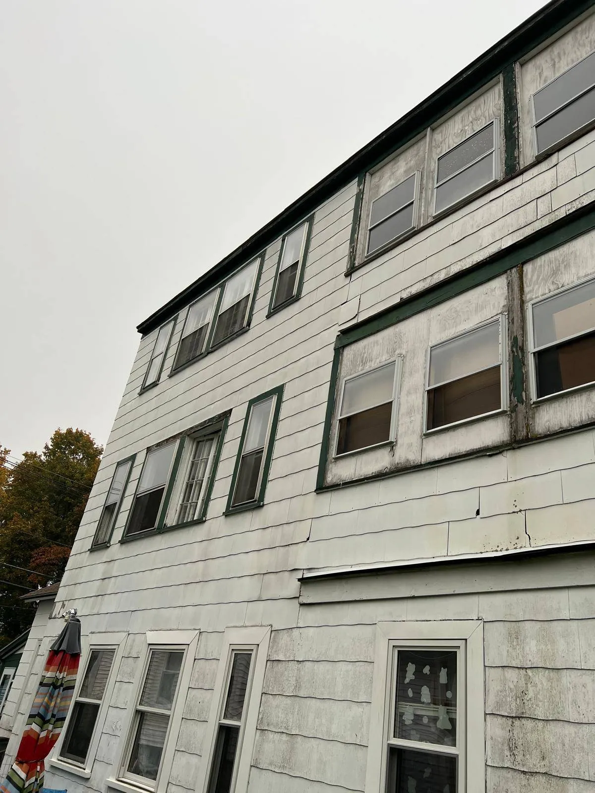 Gallery image 1