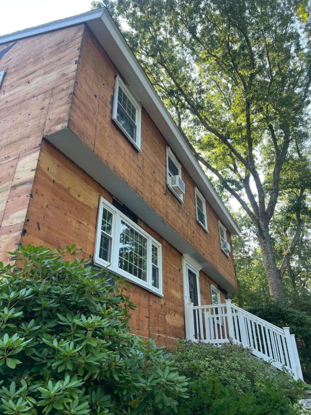 Gallery image 1