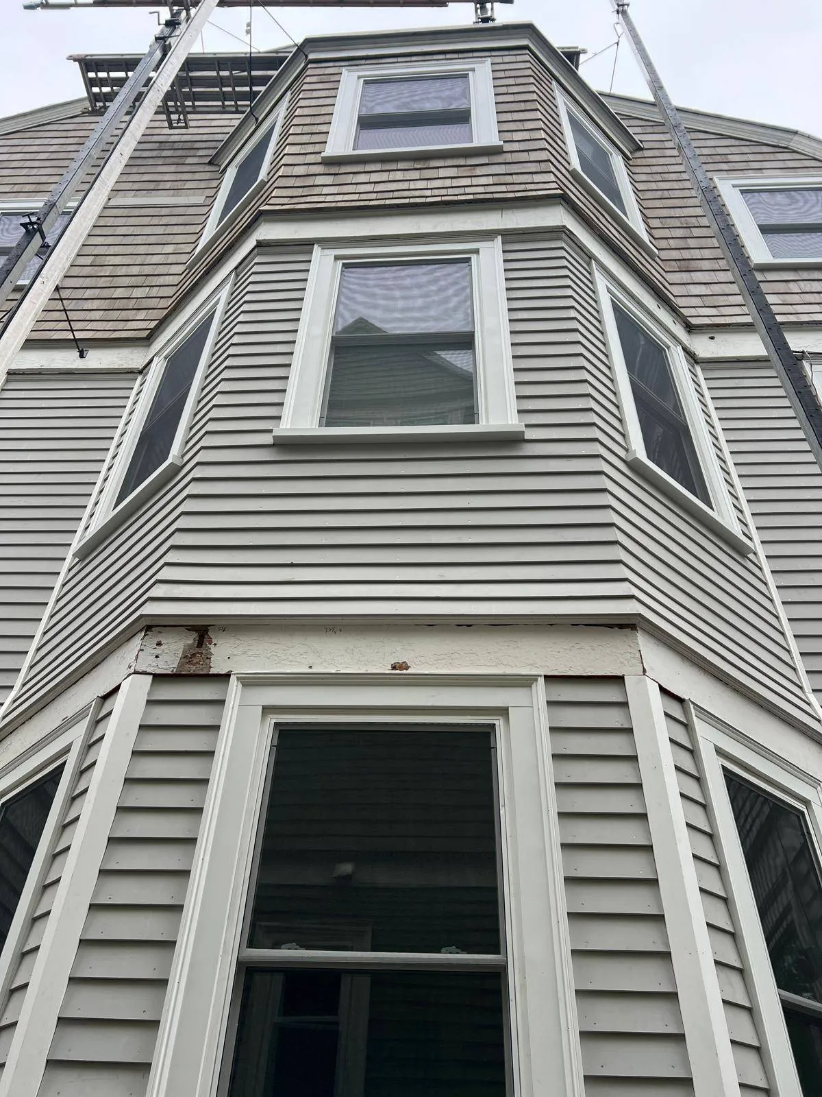 Gallery image 13