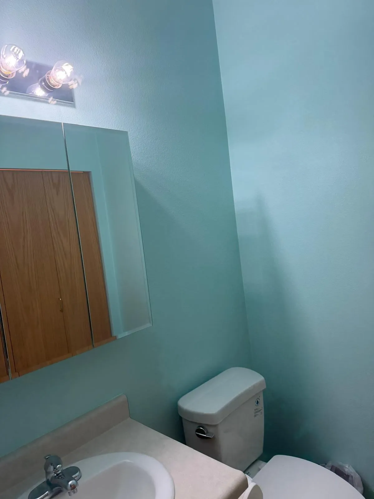 Gallery image 11