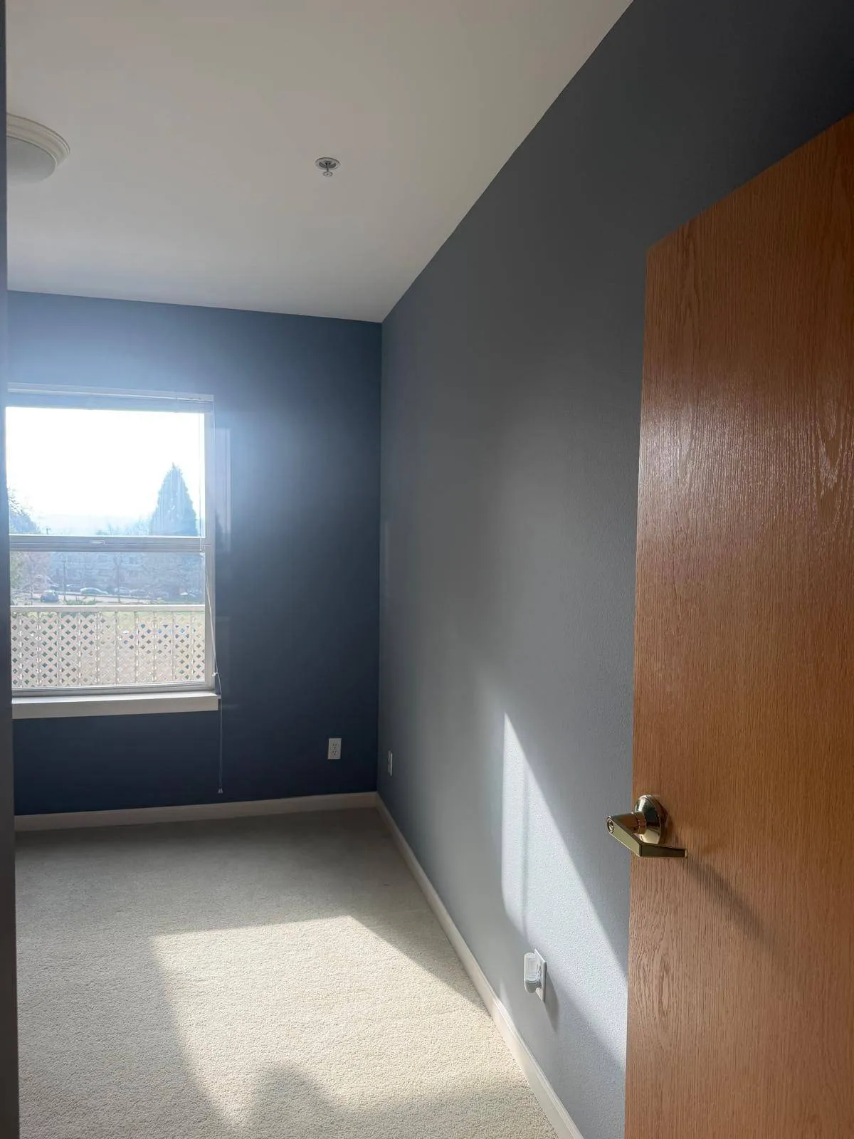 Gallery image 12