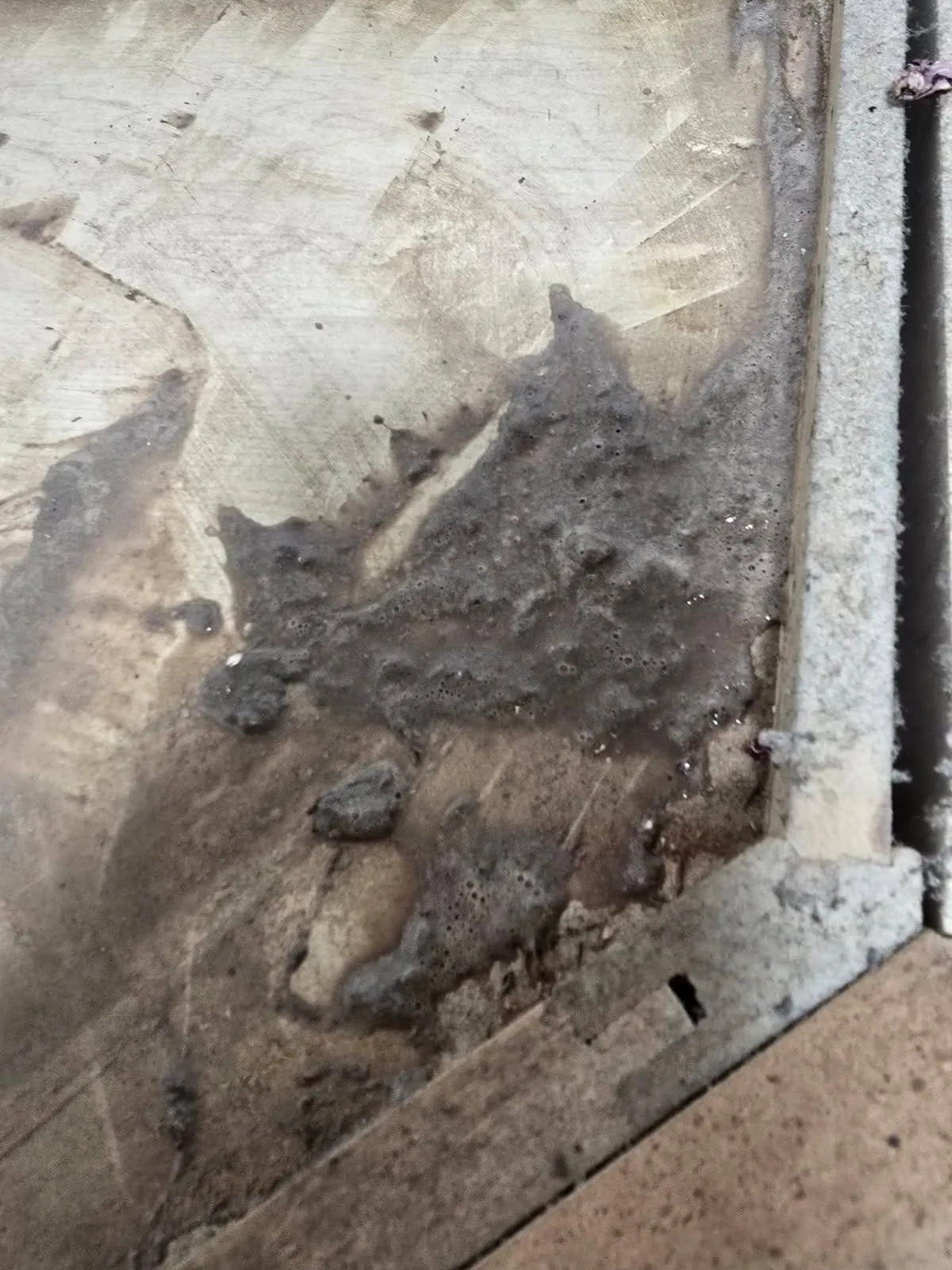 Gallery image 15