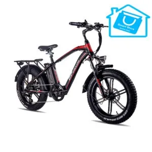 EP-CYCLING ELECTRIC BIKE 20 INCH