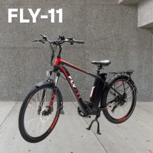 FLY-11