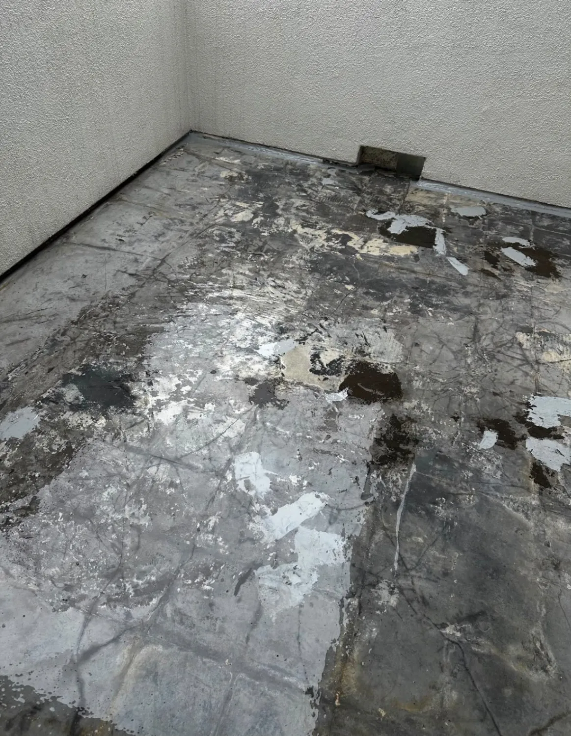 Gallery image 0