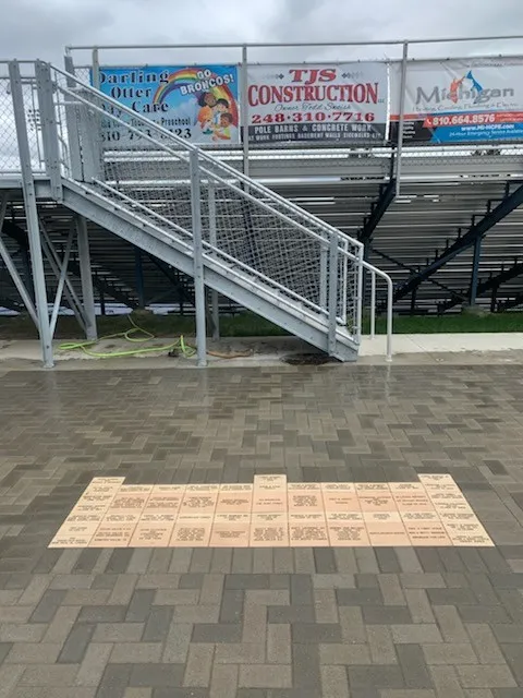 Gallery image 6
