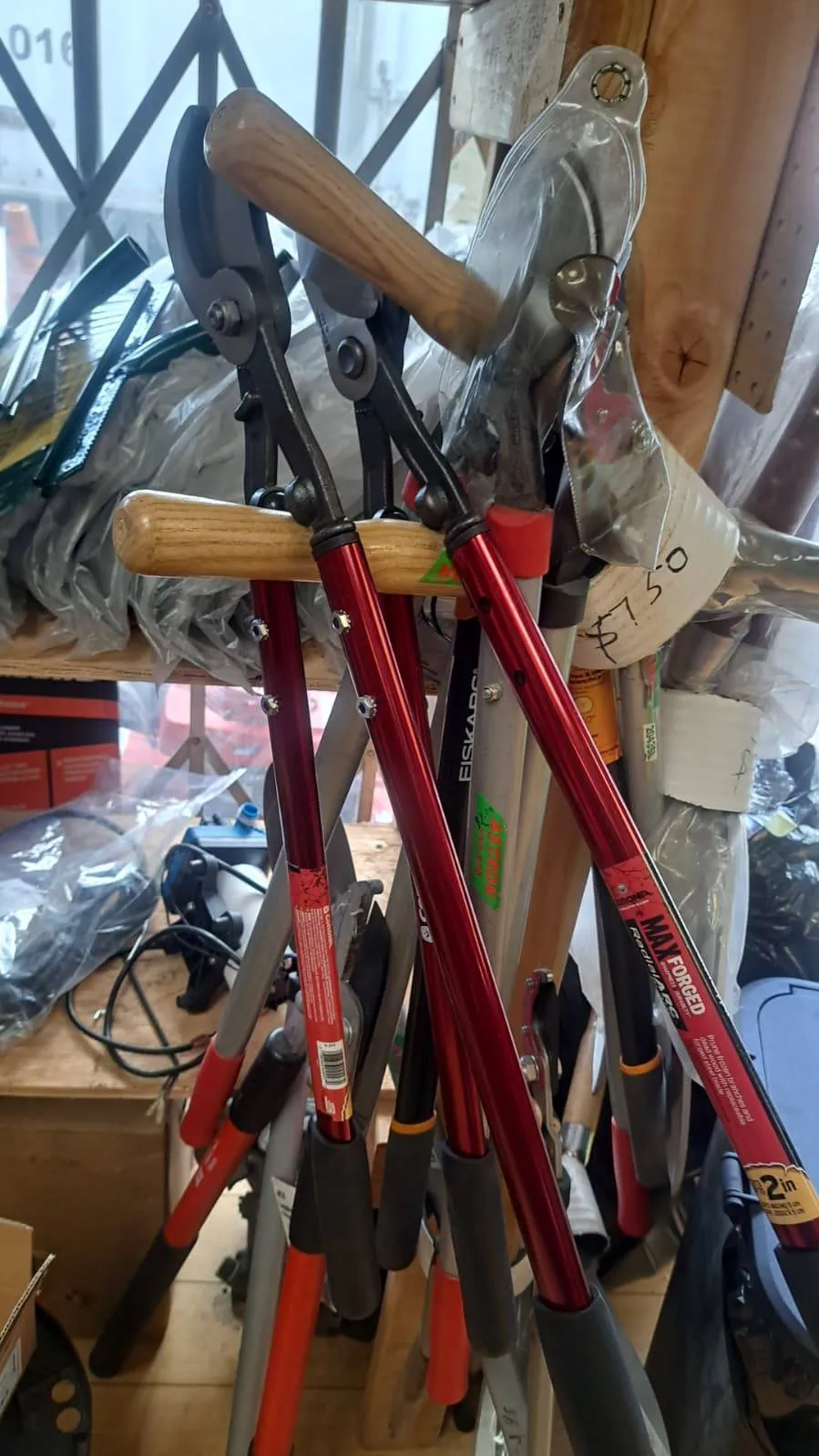 Gallery image 45