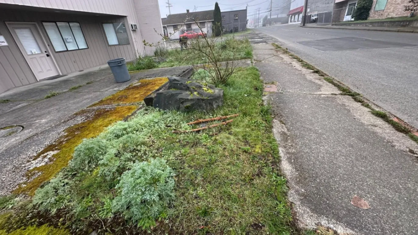 Residential and Commercial Services