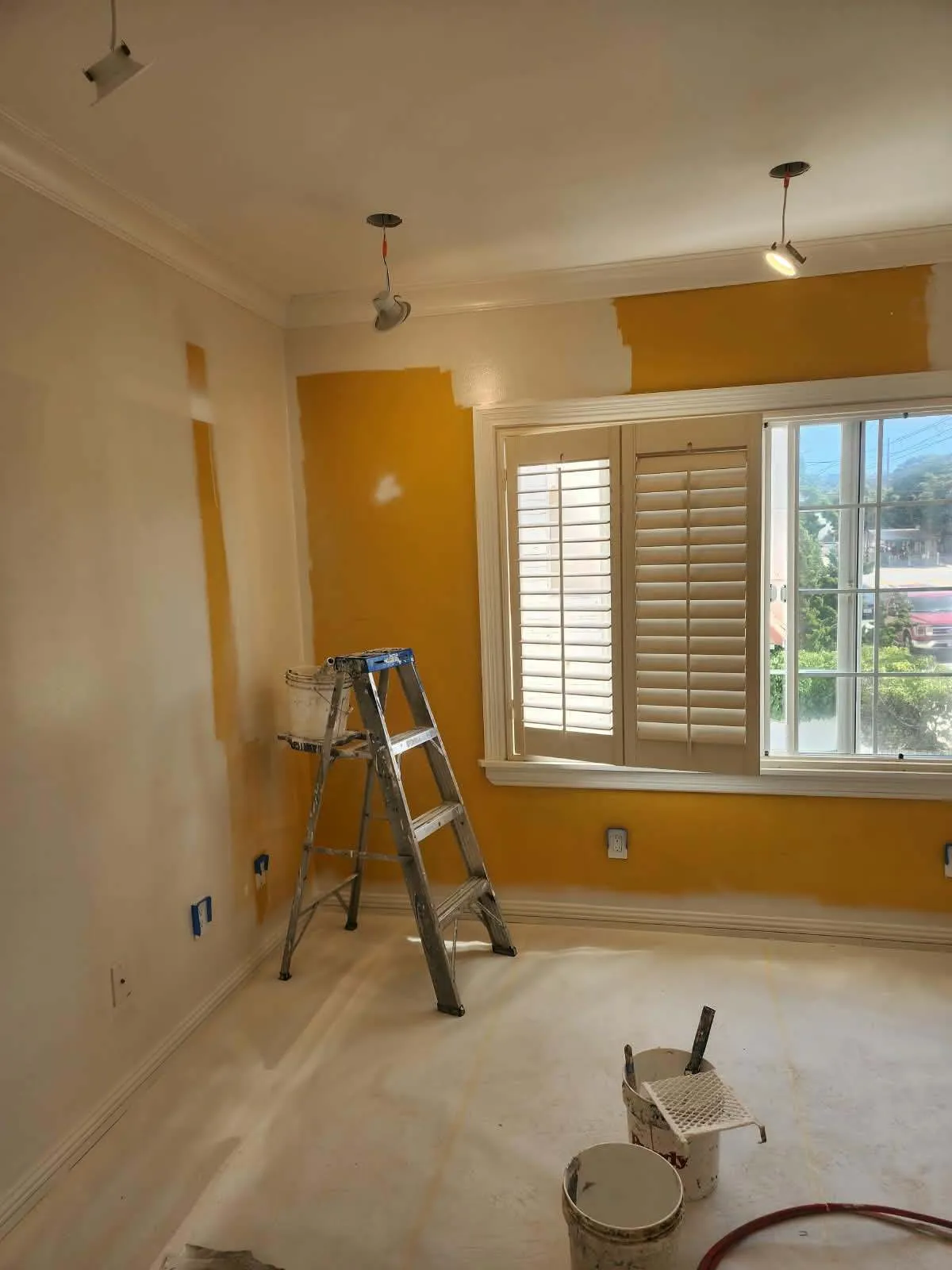 Gallery image 15
