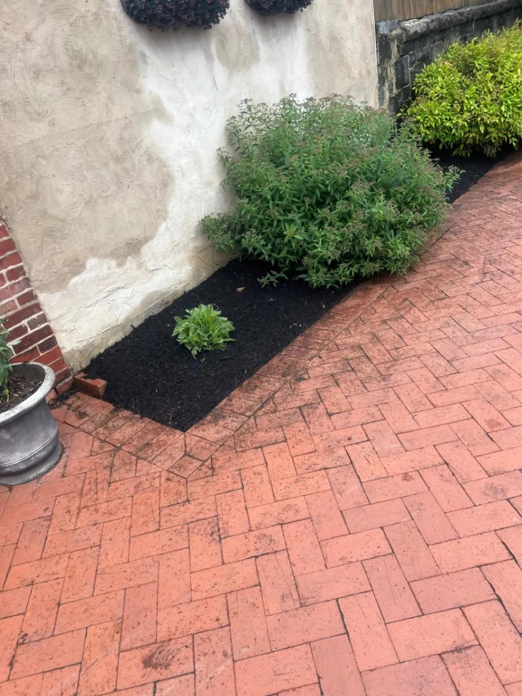 Gallery image 13