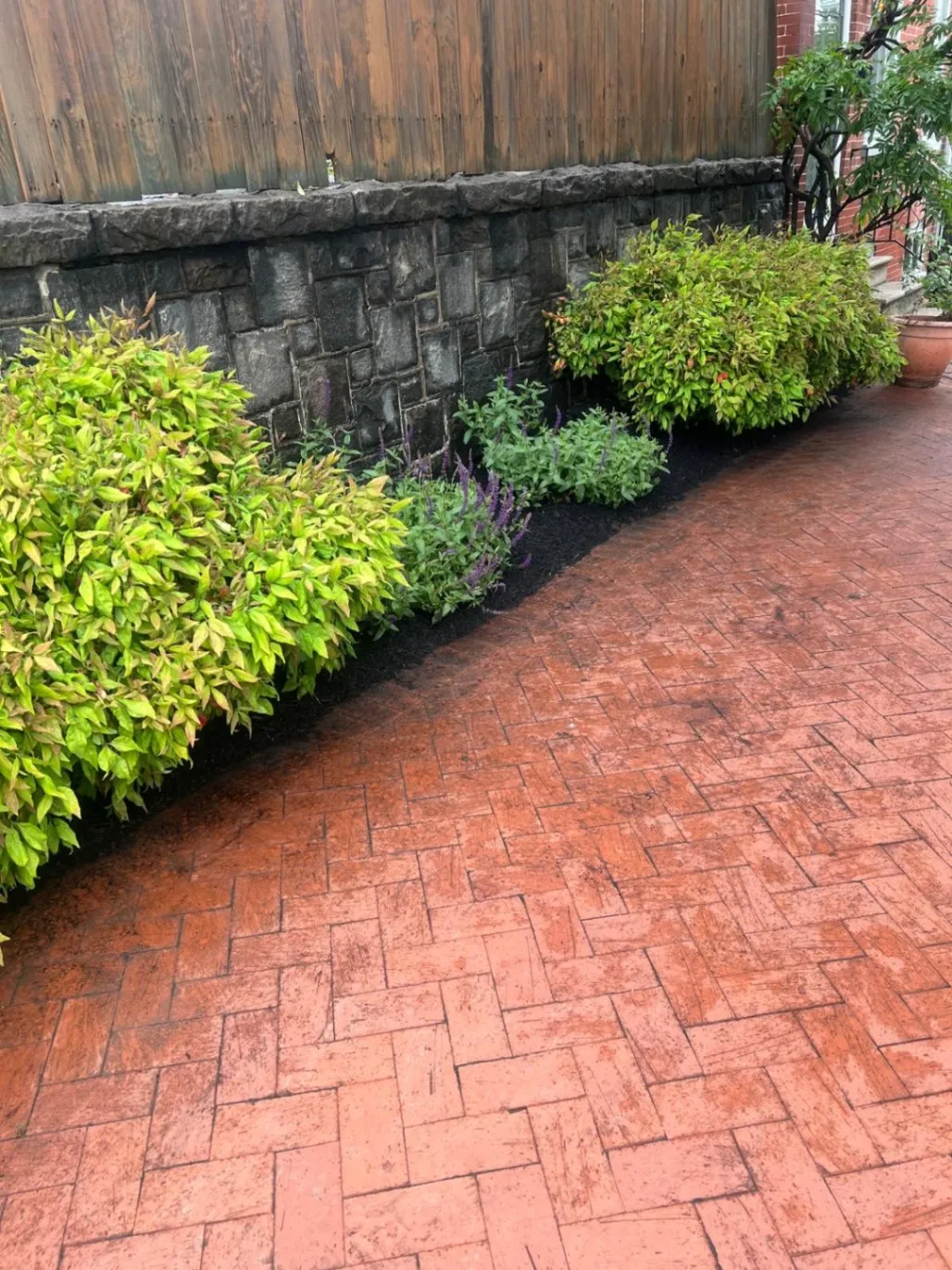 Gallery image 15