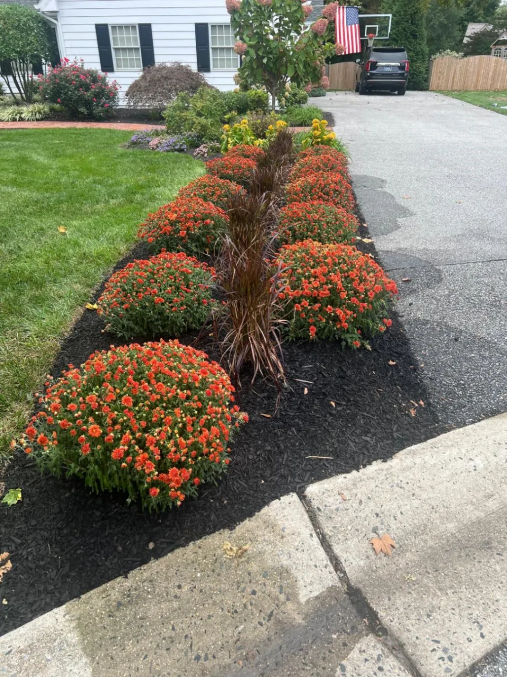Gallery image 16