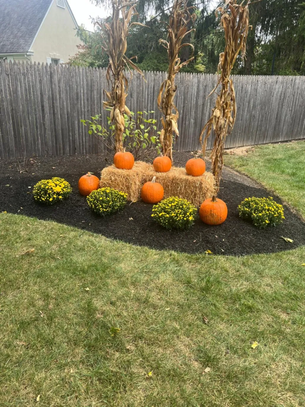 Gallery image 17