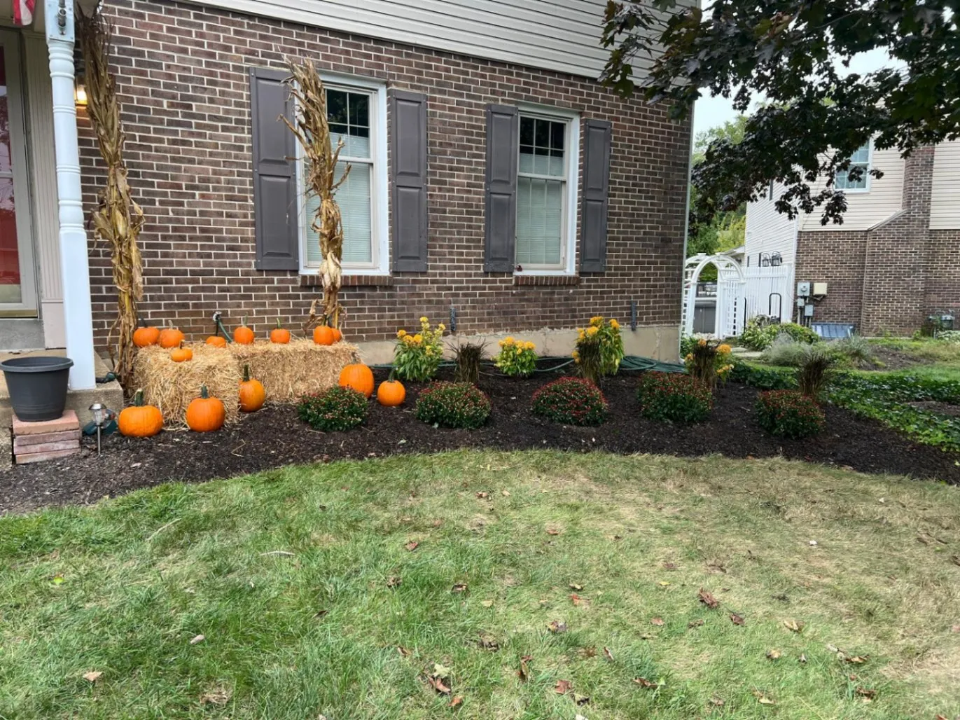 Gallery image 18