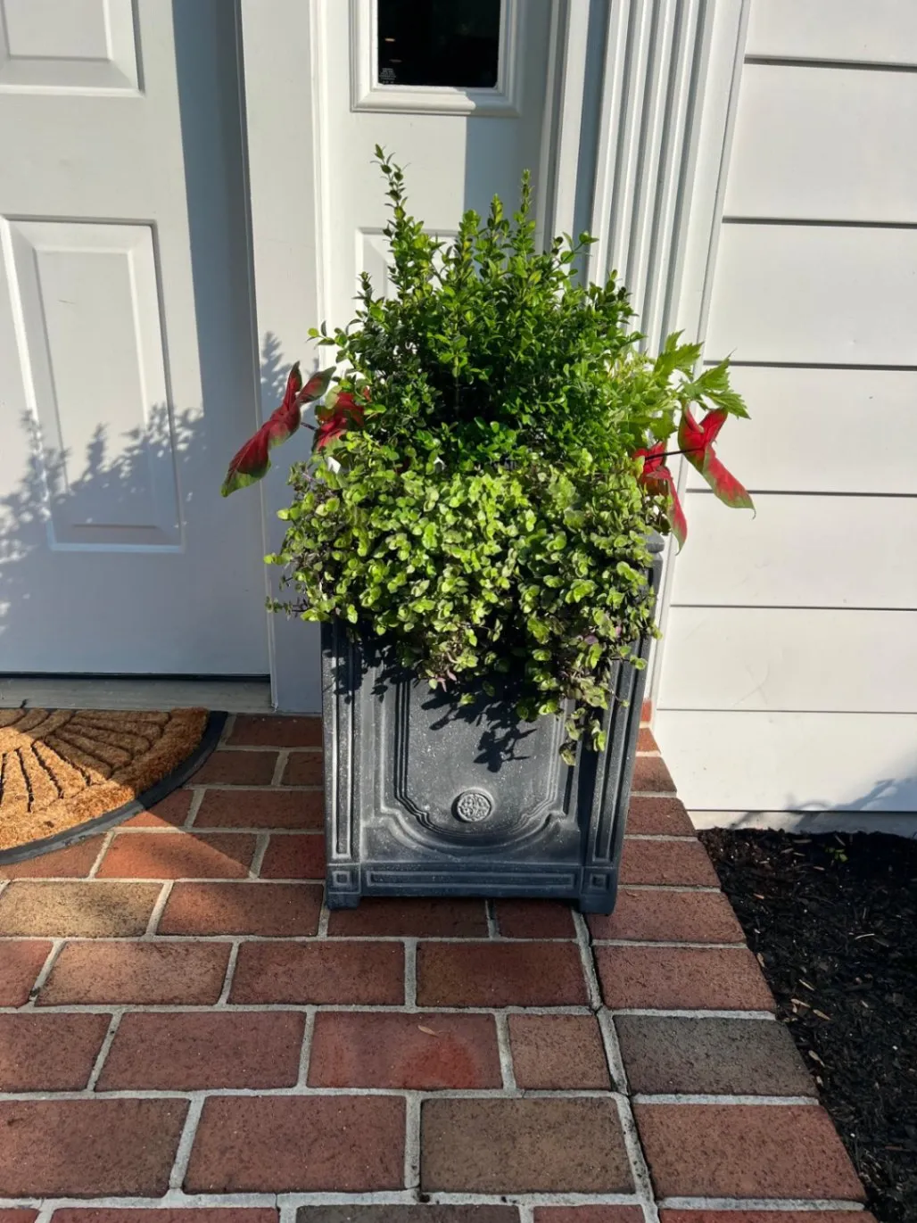 Gallery image 23