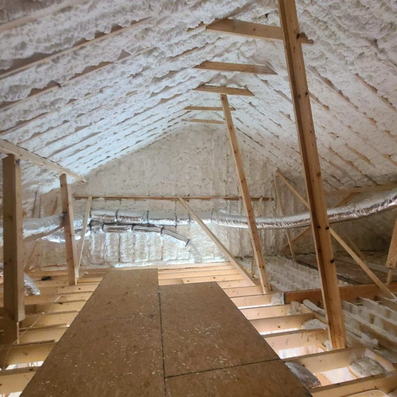 Gallery image 12