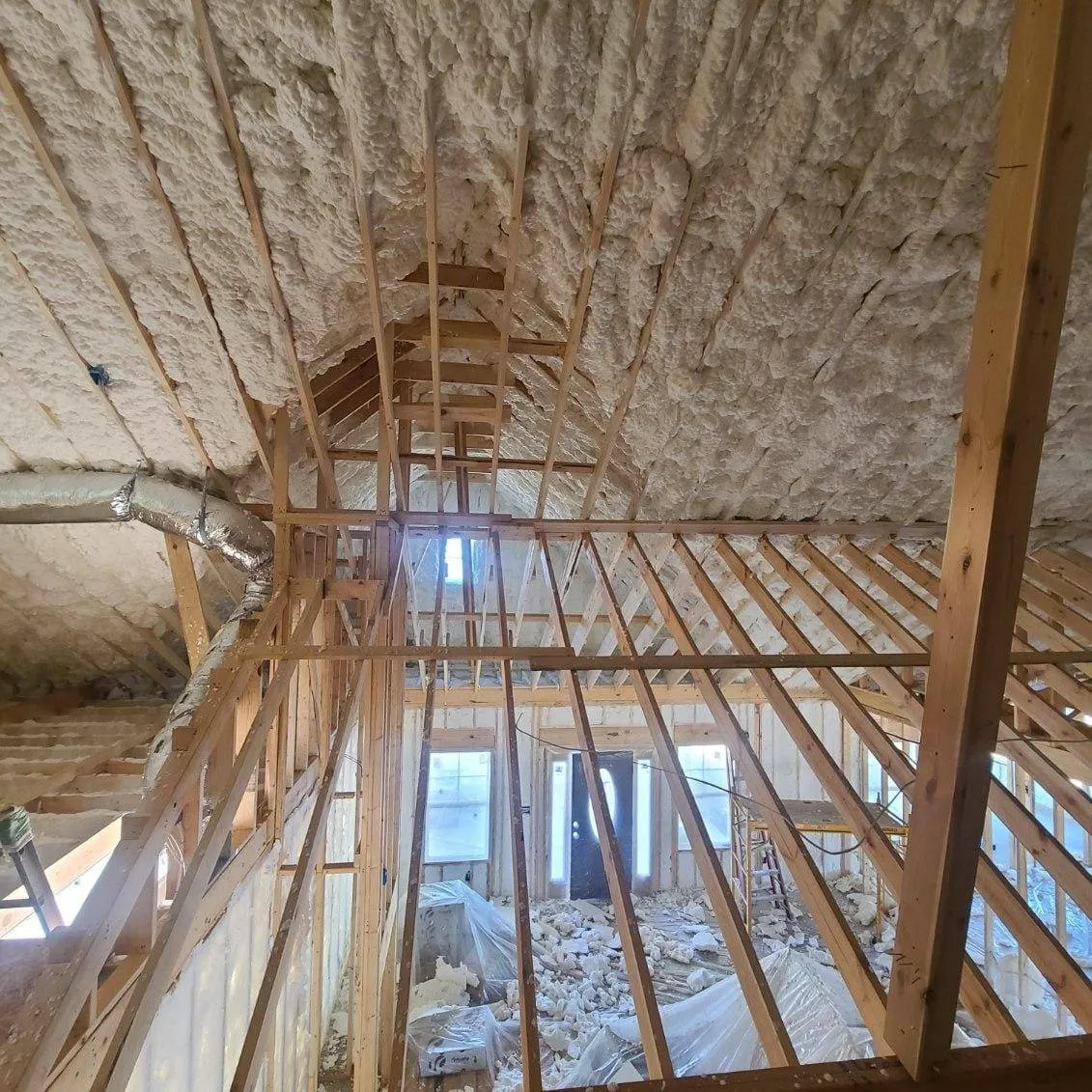 Gallery image 15
