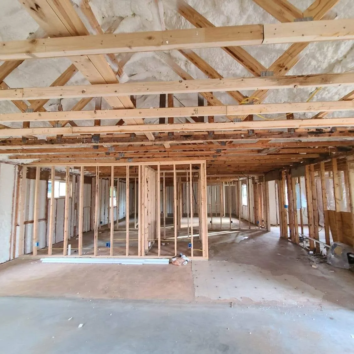 Gallery image 14