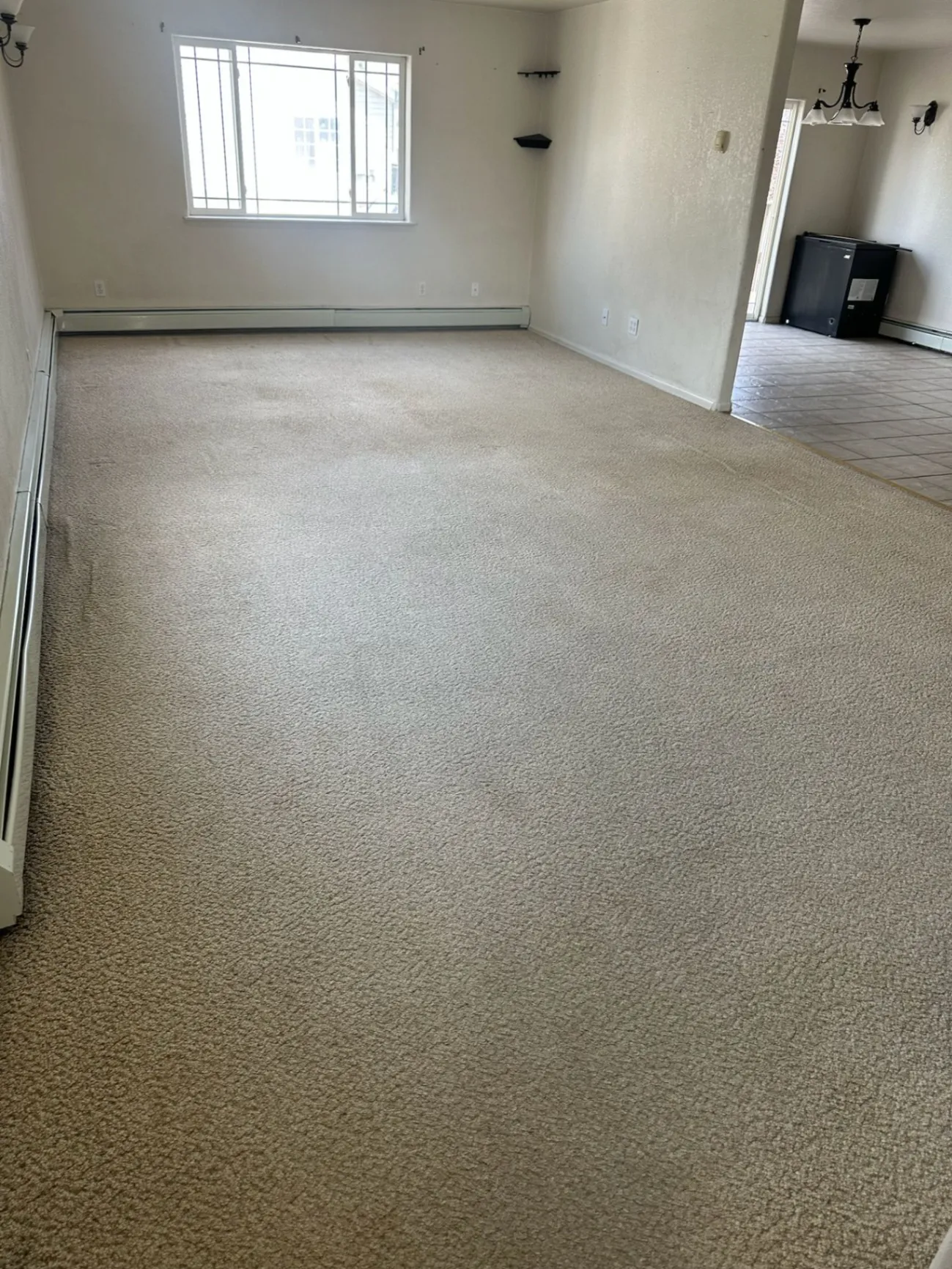 Gallery image 118