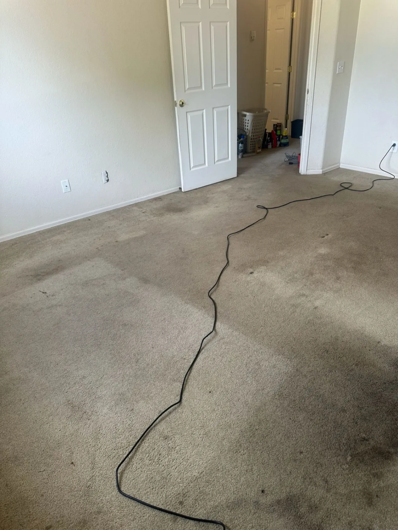Gallery image 119
