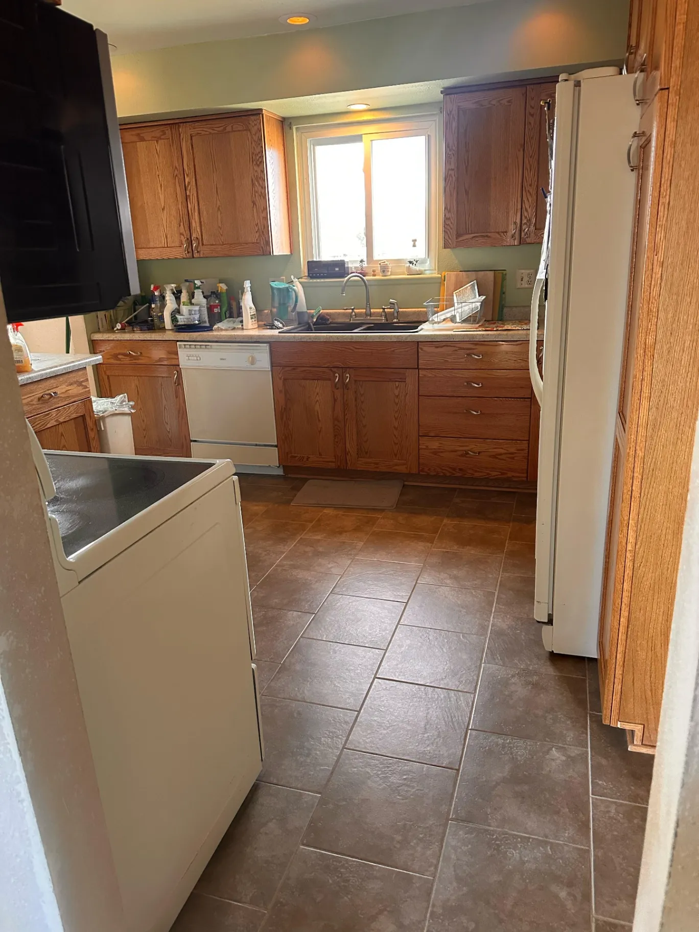 Gallery image 188