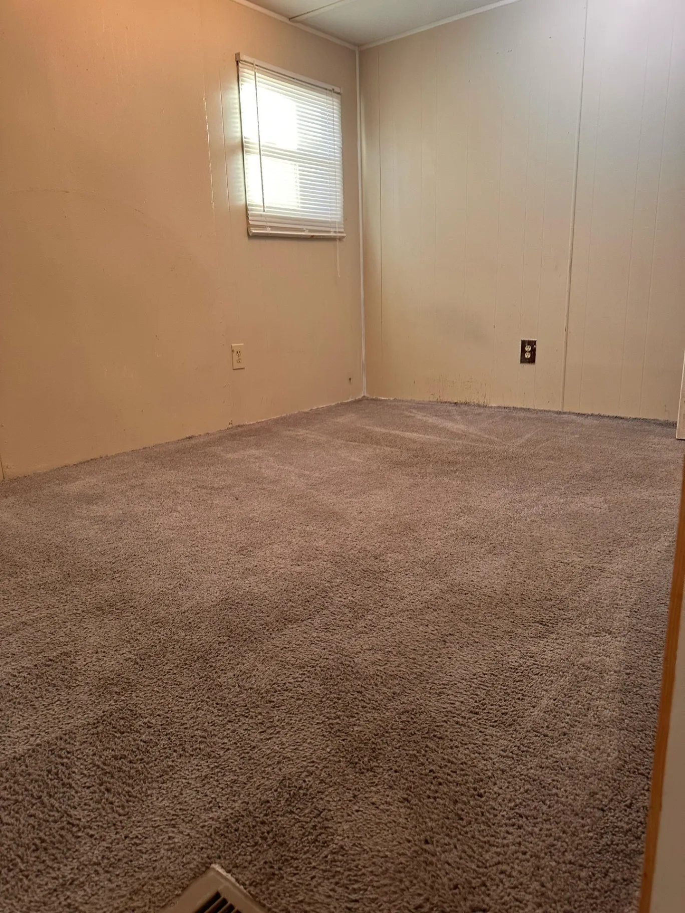 Gallery image 181