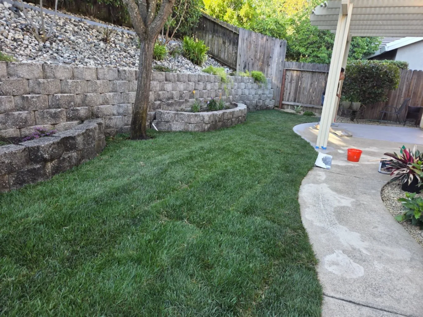 Gallery image 64