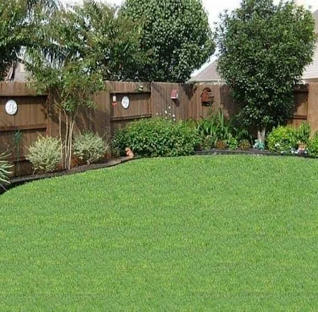 img-home-2