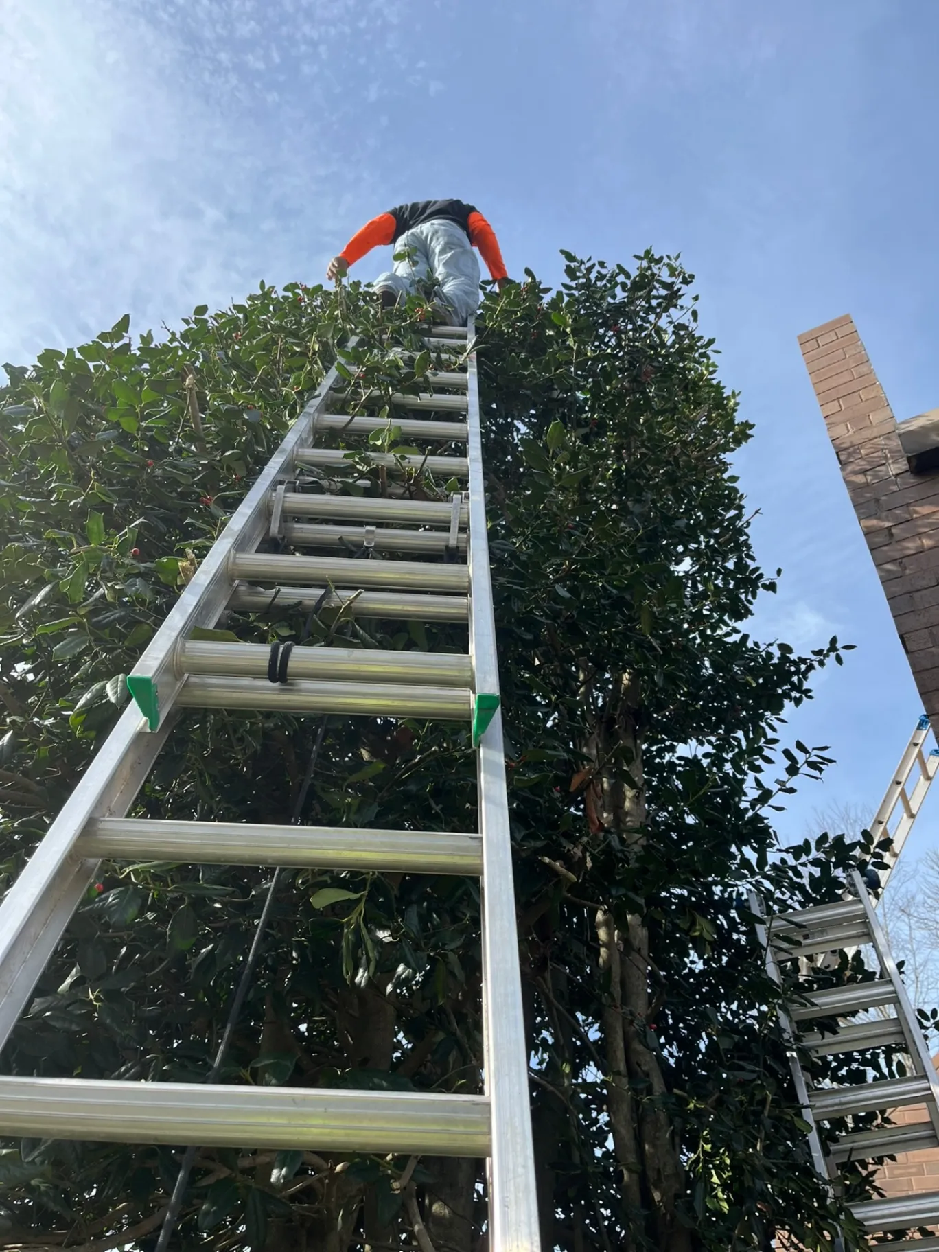 J & S Outdoor Services LLC