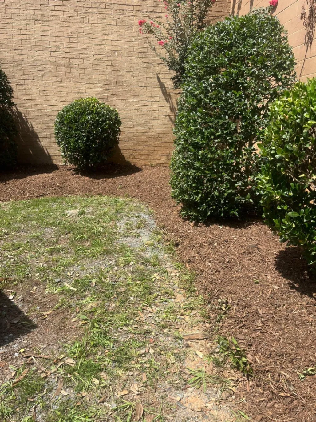 Gallery image 12