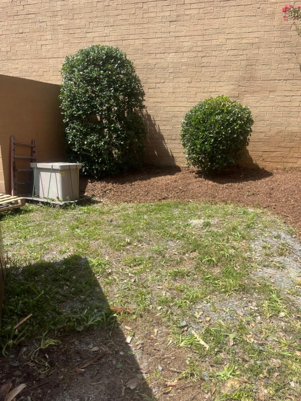 Gallery image 13