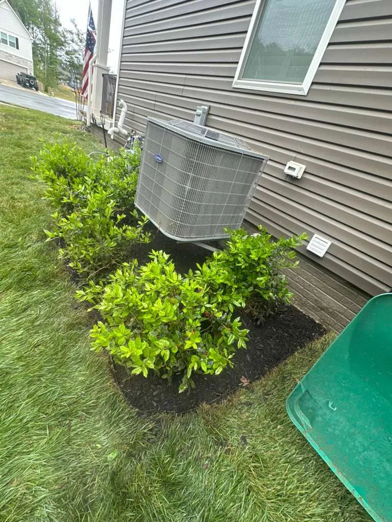 Gallery image 66