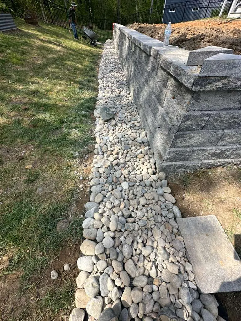Gallery image 67