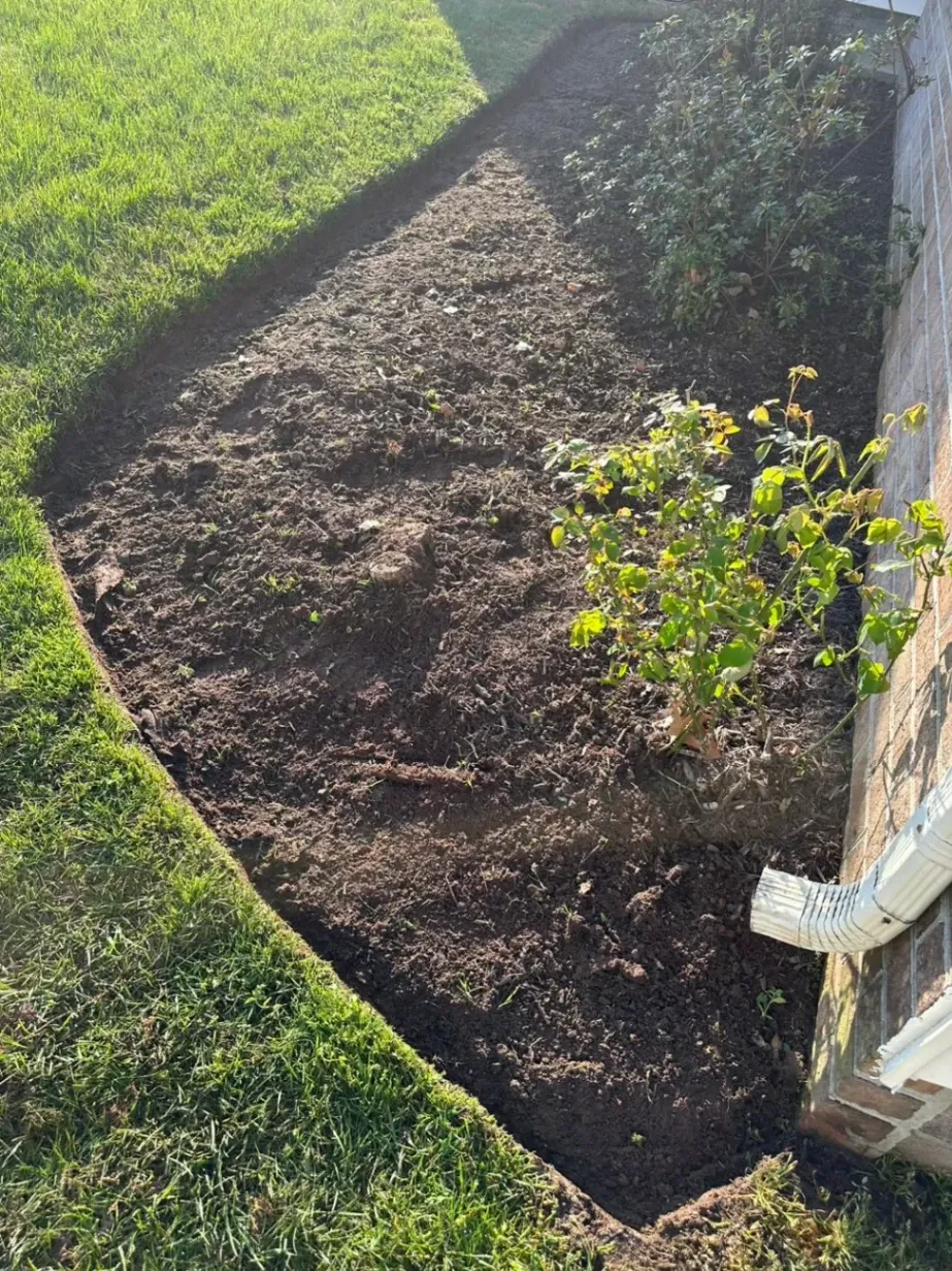 Super Mario Handyman and Landscaping LLC