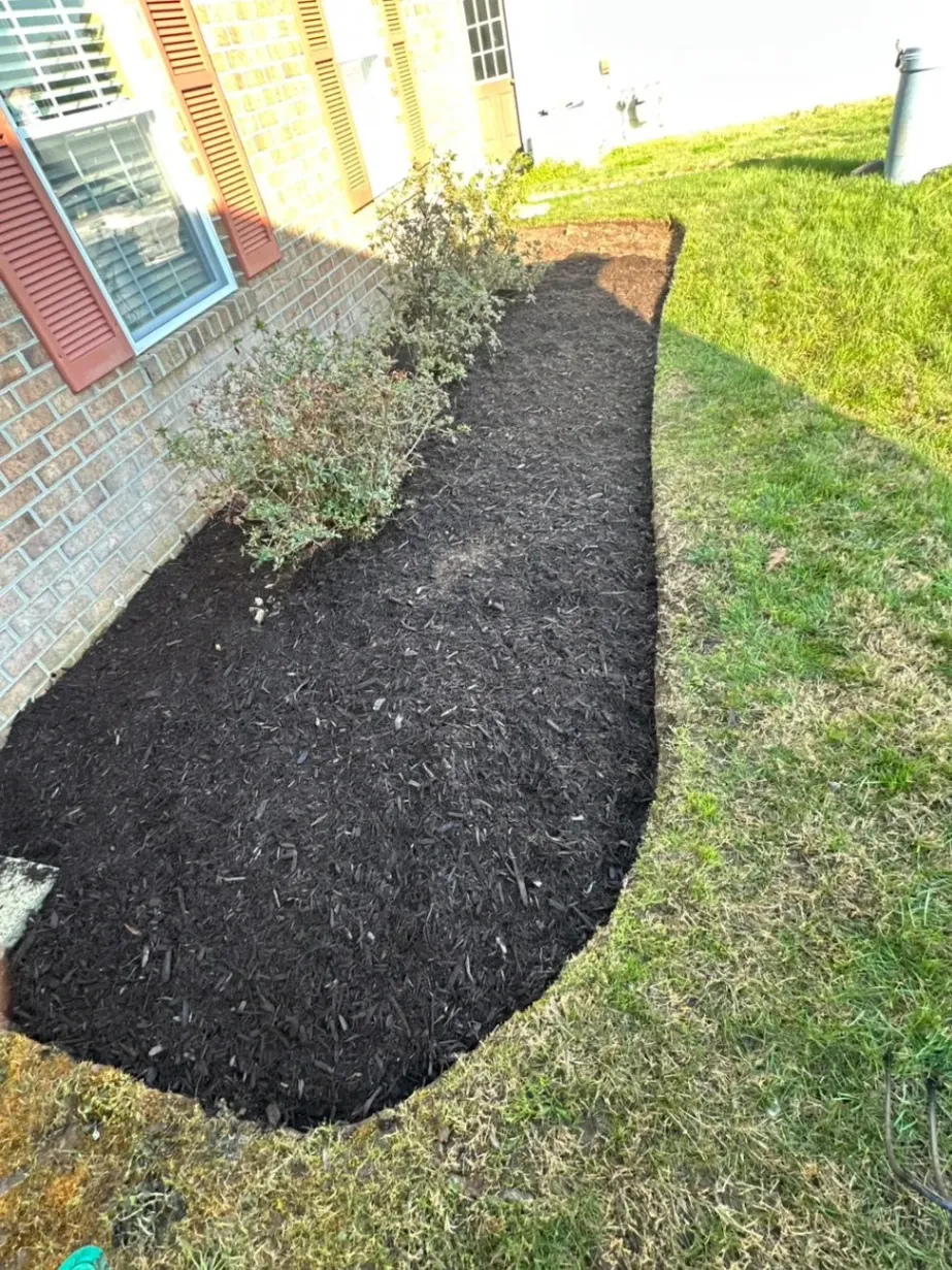 Super Mario Handyman and Landscaping LLC