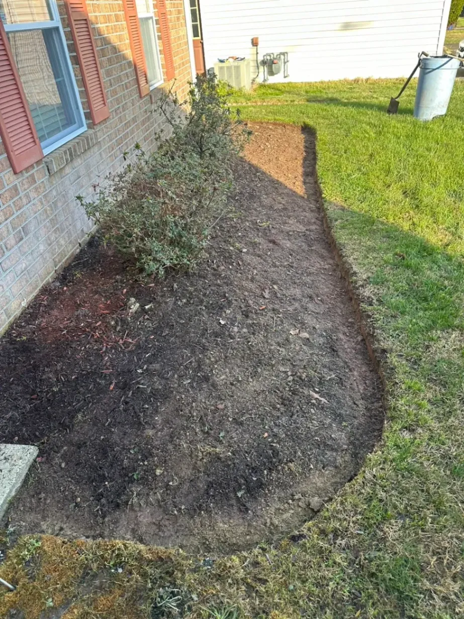 Super Mario Handyman and Landscaping LLC