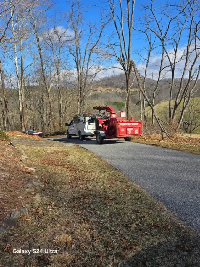 Platas tree service Landscaping